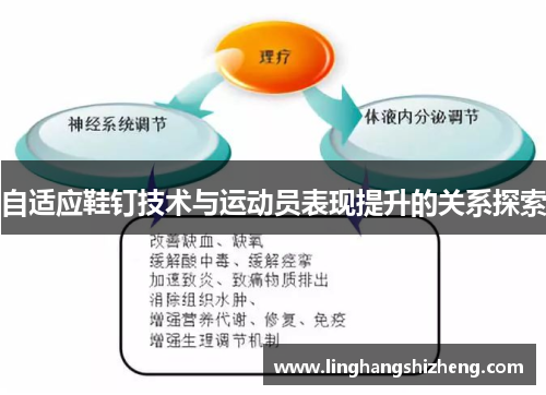 自适应鞋钉技术与运动员表现提升的关系探索