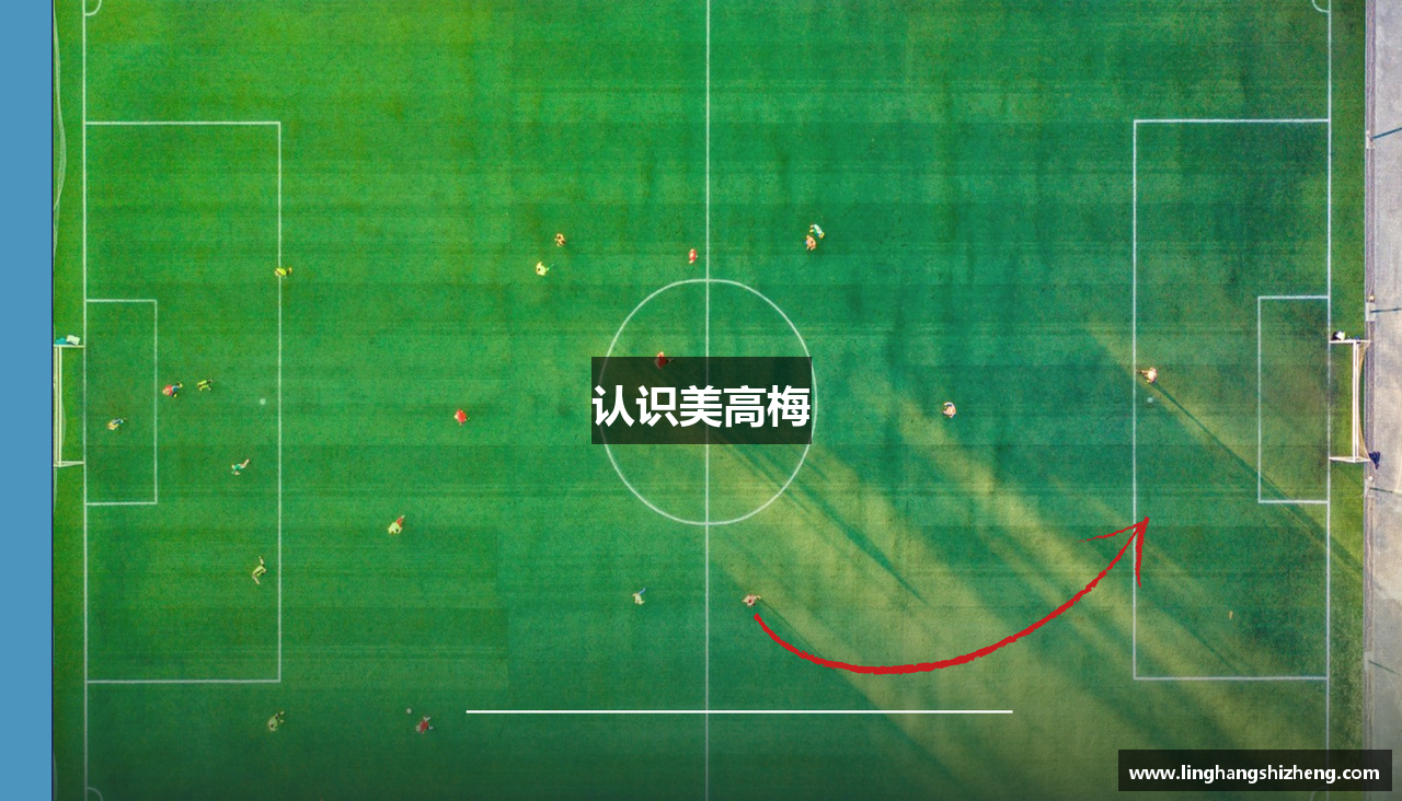 认识美高梅